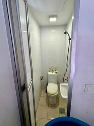 Oasis @ Elias (D18), Condominium #544478351